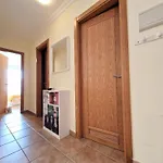 In 2 *